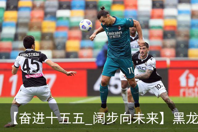 【奋进十五五 阔步向未来】黑龙江农机产业正加速迈向高端化智能化绿色化